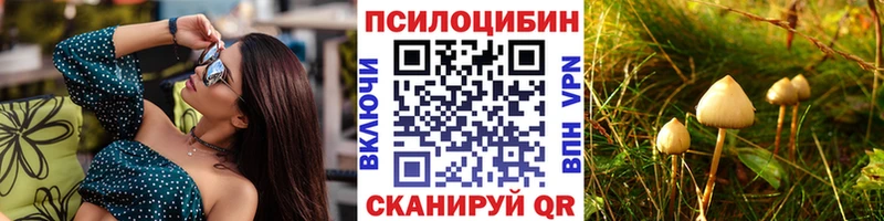 ОМГ ОМГ онион  Корсаков  Псилоцибиновые грибы Psilocybe 