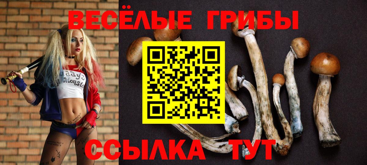 Корсаков  купить  цена  Вход с VPN  Галлюциногенные грибы прущие грибы 