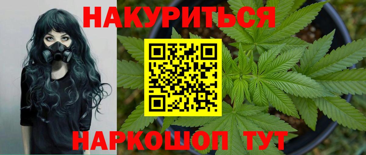 Бошки Шишки планчик Корсаков
